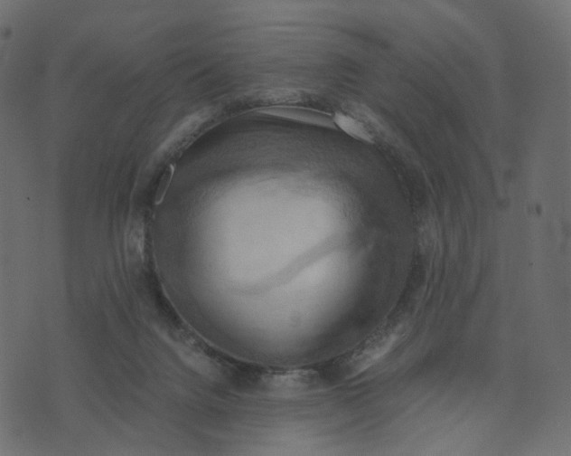 X0000073410072200608251535