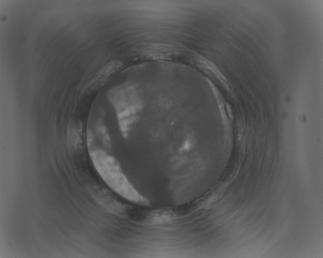 X0000073410073200608251535