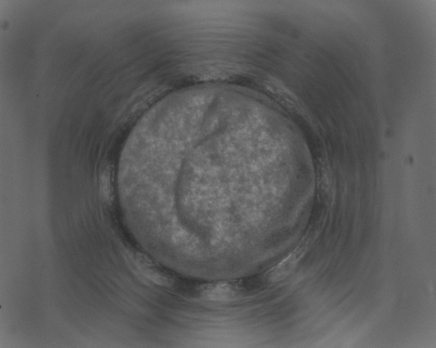 X0000073410074200608251535