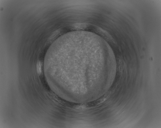 X0000073410075200608251535