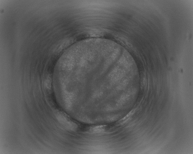 X0000073410078200608251535