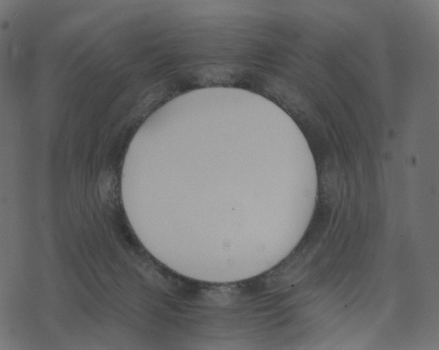 X0000073410079200608251535