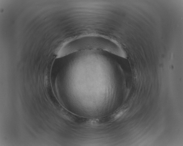 X0000073410080200608251535