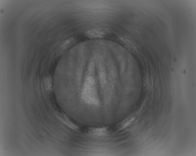 X0000073410081200608251535