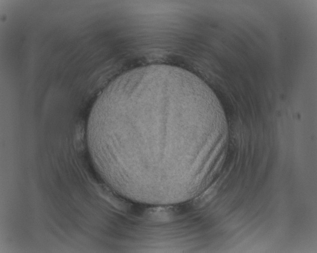 X0000073410082200608251535