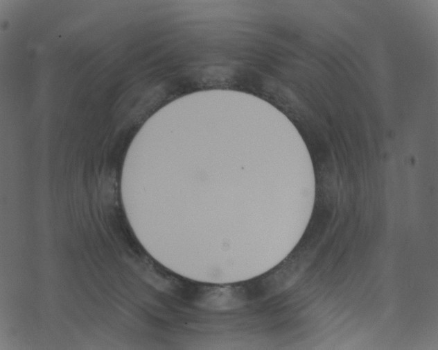 X0000073410083200608251535