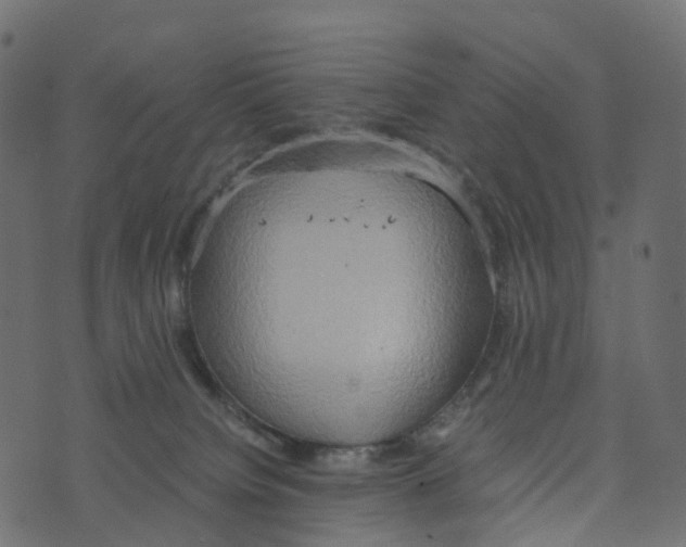 X0000073410084200608251536