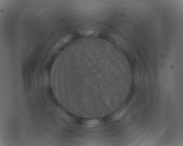 X0000073410085200608251536