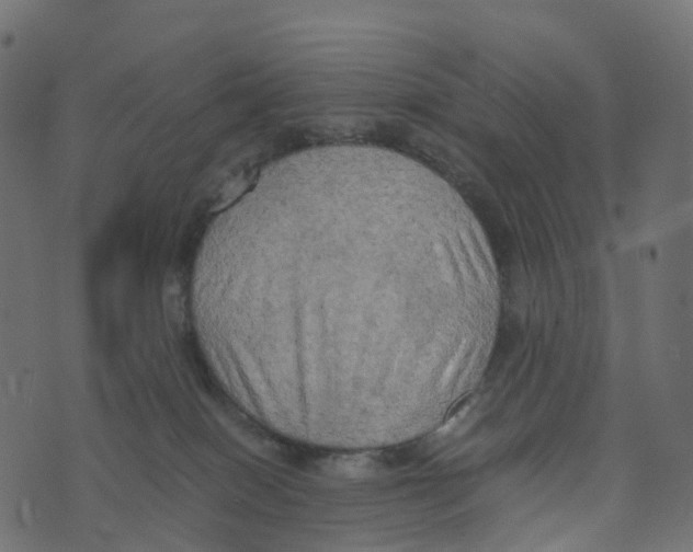 X0000073410086200608251536