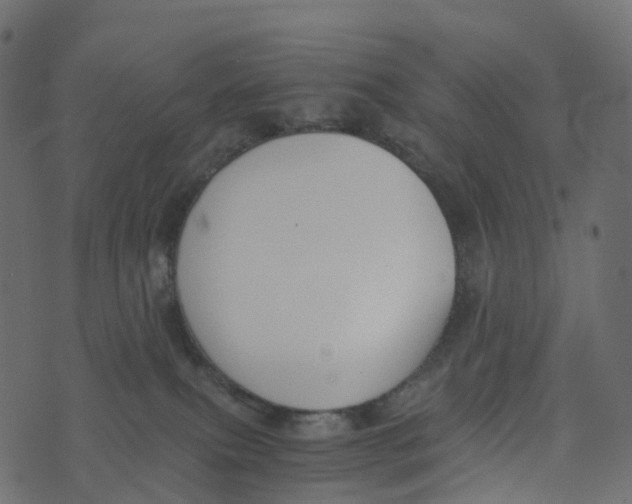 X0000073410087200608251536