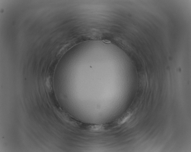 X0000073410088200608251536