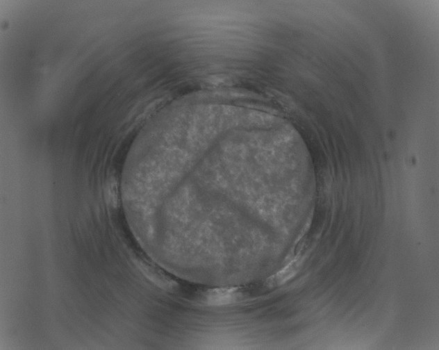 X0000073410090200608251536