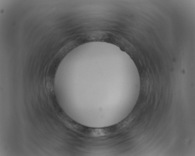 X0000073410091200608251536