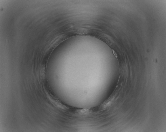 X0000073410092200608251536