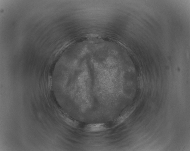 X0000073410093200608251536