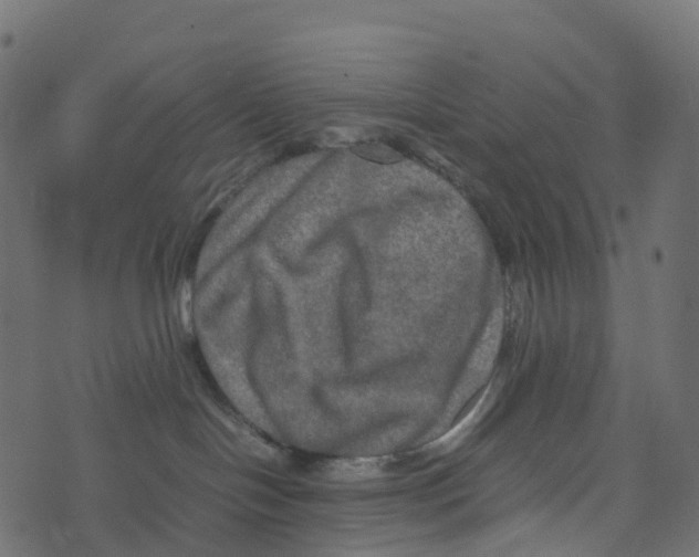 X0000073410094200608251536