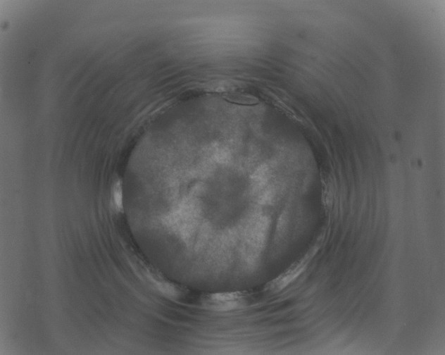 X0000073410095200608251536