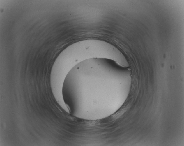 X0000073410096200608251536