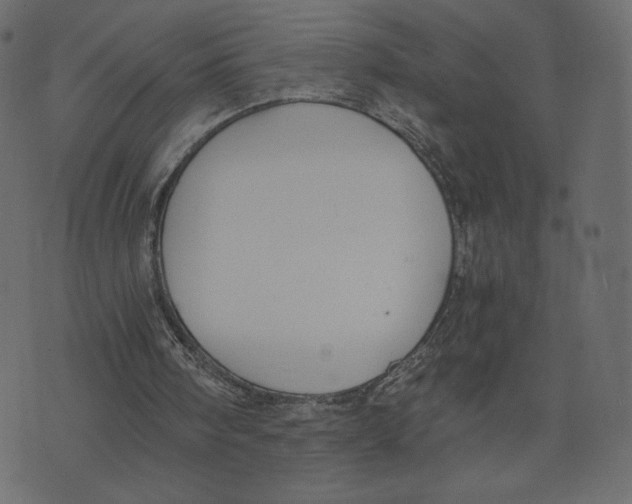 X0000073410098200608251535