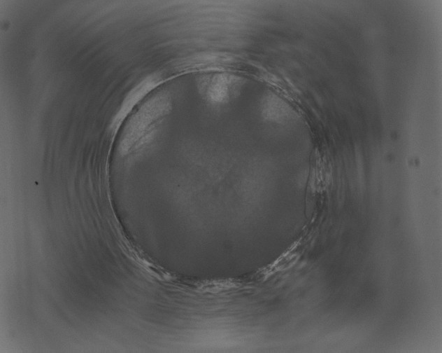 X0000073410099200608251535