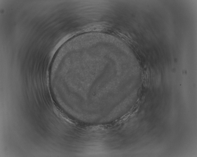 X0000073410100200608251535