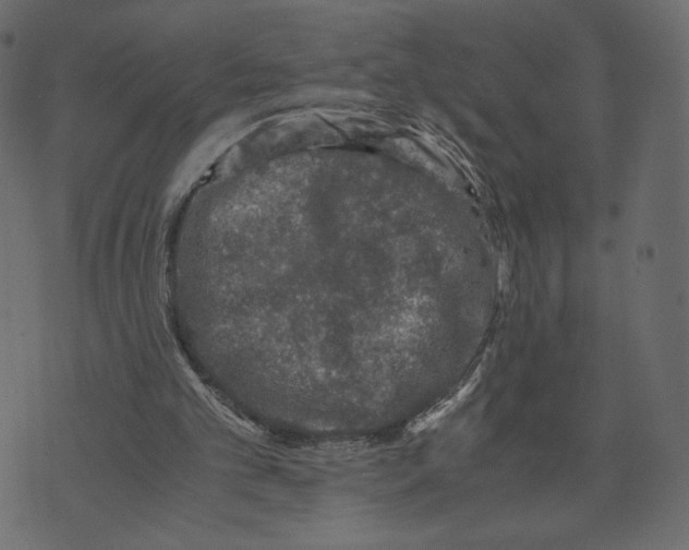 X0000073410101200608251535