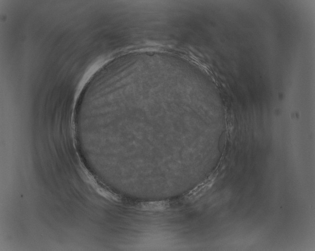 X0000073410102200608251535