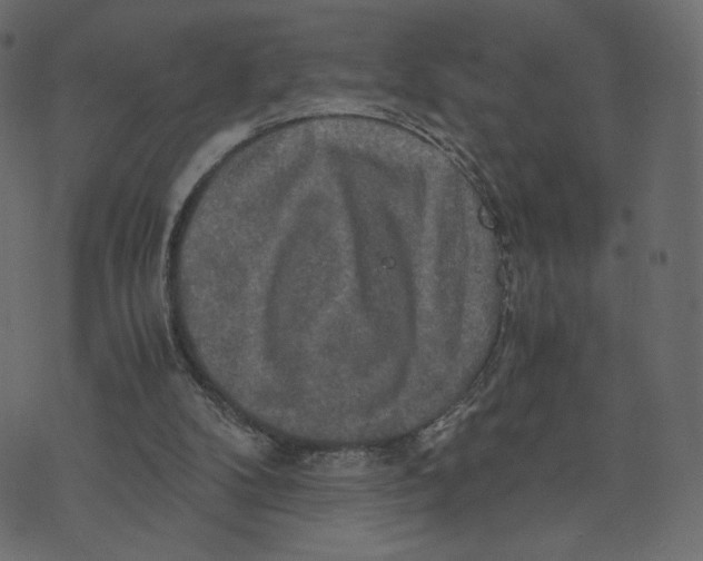 X0000073410104200608251535