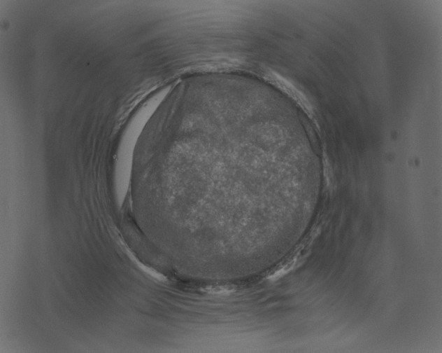 X0000073410105200608251535