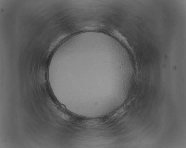 X0000073410106200608251535