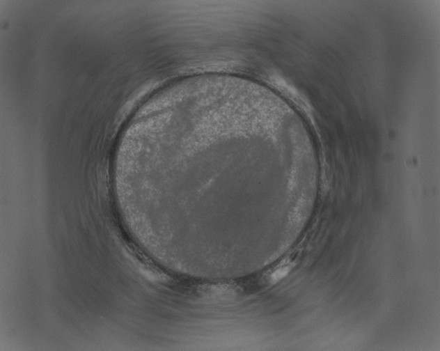 X0000073410107200608251535