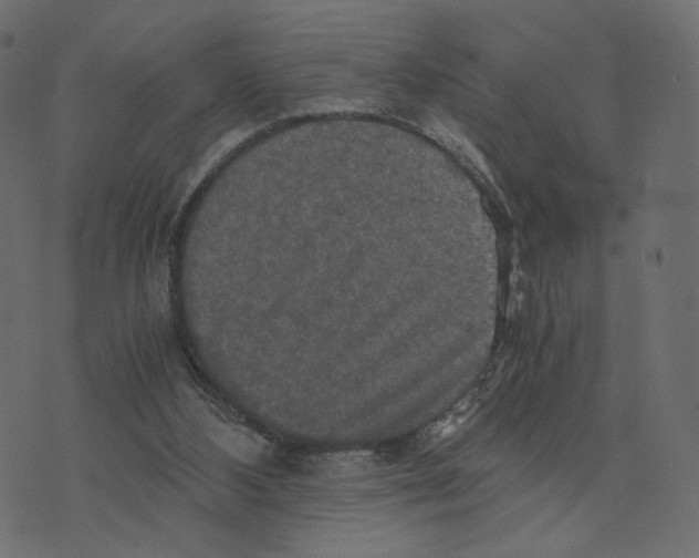 X0000073410108200608251535