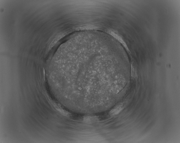 X0000073410109200608251535