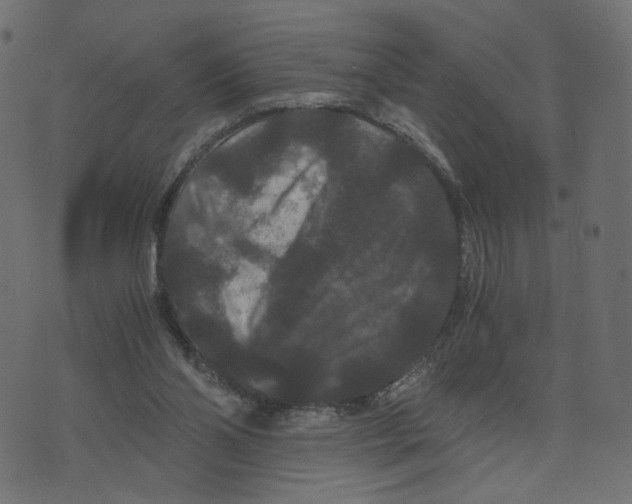 X0000073410110200608251535