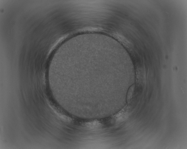 X0000073410112200608251535