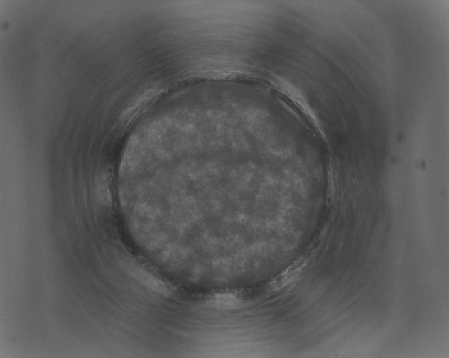 X0000073410114200608251535