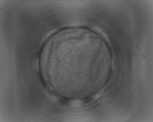 X0000073410115200608251535