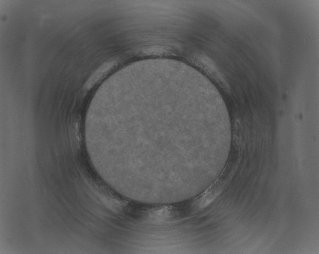 X0000073410116200608251535