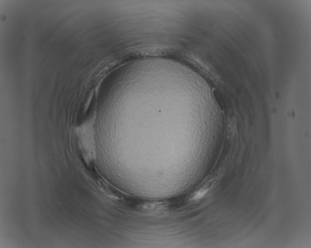 X0000073410117200608251535