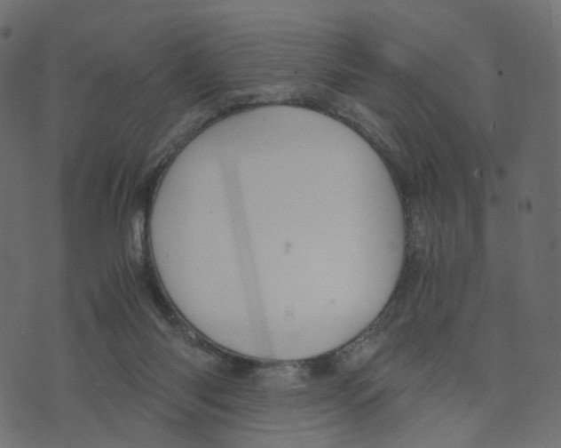 X0000073410118200608251535