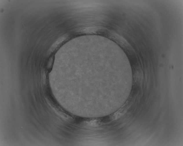 X0000073410120200608251535