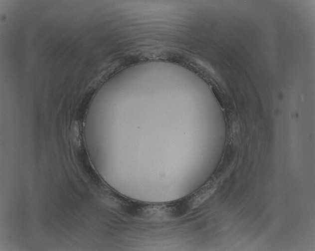 X0000073410121200608251535