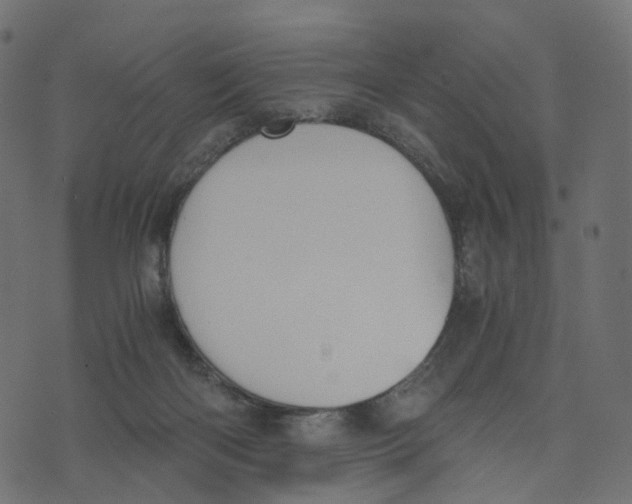 X0000073410122200608251535