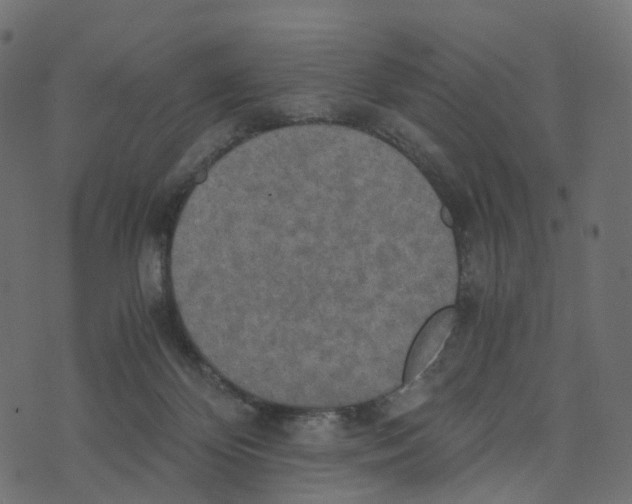 X0000073410124200608251534