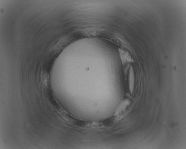 X0000073410125200608251534