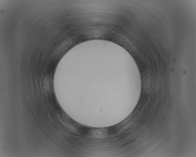 X0000073410126200608251534