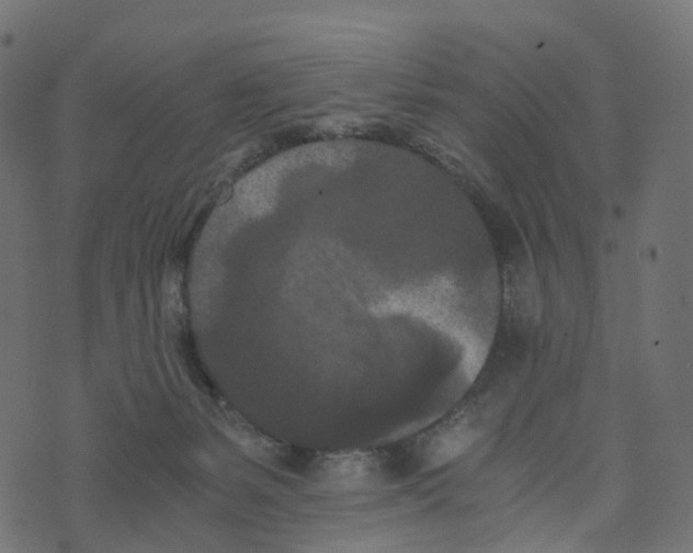 X0000073410127200608251534