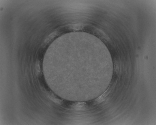 X0000073410128200608251534