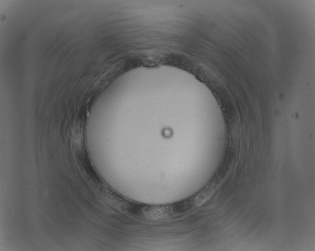 X0000073410129200608251534