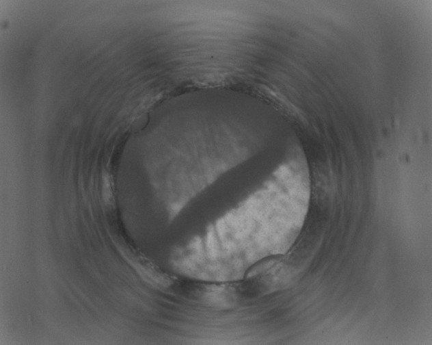 X0000073410130200608251534